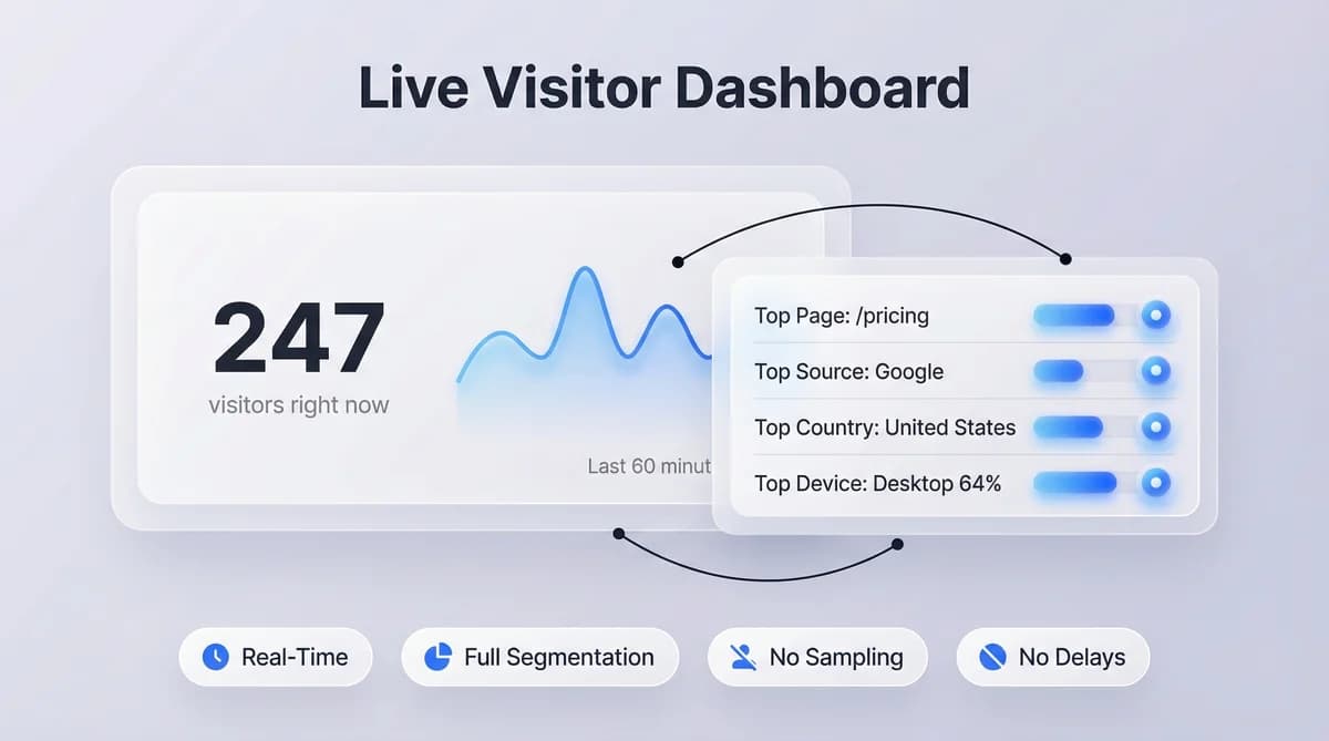 Live visitor dashboard showing 247 active visitors with segmentation by source, page, and country